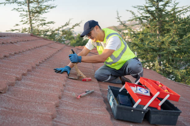Best Slate Roofing Contractor  in Rosemont, IL